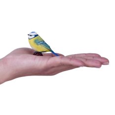 Mojo Sýkora modřinka v krabičce