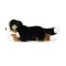Rappa Plyschhund Berner Sennenhund liggande 44 cm ECO-FRIENDLY