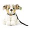 Rappa Plyschhund australian shepherd med koppel 28 cm ECO-FRIENDLY