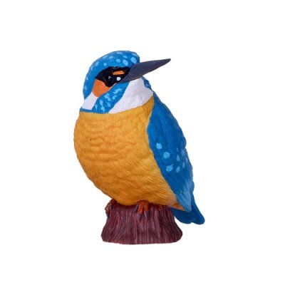 Mojo Common Kingfisher in a box