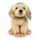 Rappa Plüss labrador ülő 27 cm ECO-FRIENDLY
