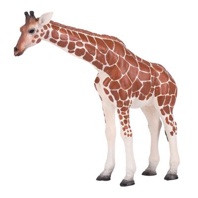 Mojo Giraffa femmina