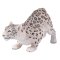Mojo Snöleopard
