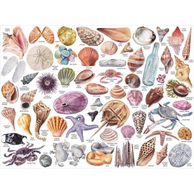 Puzzle Galison Z poradnika plażowego leniwca 1000 elementów