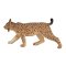 Mojo Luchs