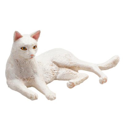 Mojo Katze weiße liegend