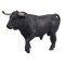 Mojo Spanischer Stier