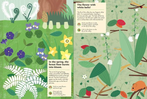 Chronicle Books Książka z naklejkami z aktywnościami Moja natura W lesie
