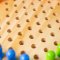 Bigjigs Toys Drvena Halma