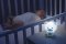 CHICCO Luz nocturna musical Osito azul 0m+
