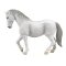Yegua Lipizzaner Mojo