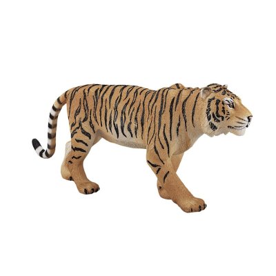 Mojo Tygrys bengalski