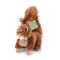 Rappa Esquilo de pelúcia 17 cm ECO-FRIENDLY