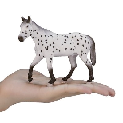 Mojo Appaloosa armăsar