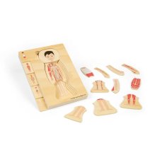Bigjigs Toys Lesene puzzle Anatomija deček