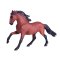 Mojo Caballo Lusitano marrón