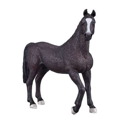 Mojo Garanhão Árabe Preto
