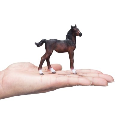Mojo Hanoverian Foal Bay