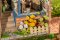 RoboTime 3D Holzpuzzle Miniatur Puppenhaus Traumhof