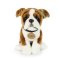 Rappa Plysch hund boxer 27 cm ECO-FRIENDLY
