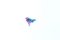 EscapeWelt Puzzle de Madeira Borboleta 300 peças