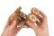 Ugears 3D puzzle mecánico de madera NASA, Vehículo Lunar