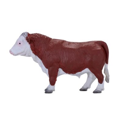 Taureau Hereford Mojo