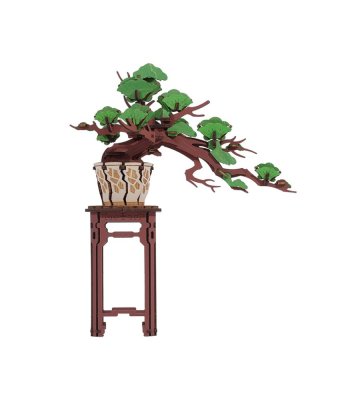 RoboTime 3D Holzpuzzle Bonsai Kiefer