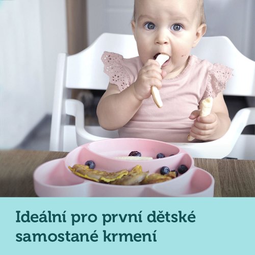 CANPOL BABIES Talíř silikonový dělený s přísavkou Medvídek tyrkysový