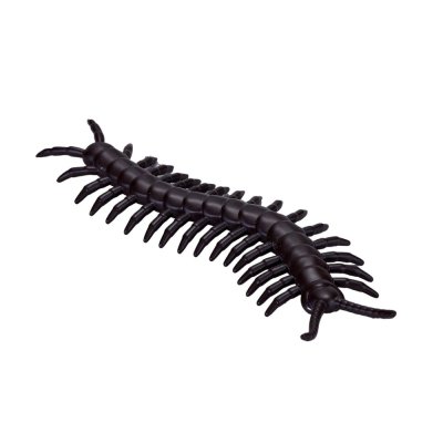 Mojo Mini monde Insectes et araignées 12 pcs