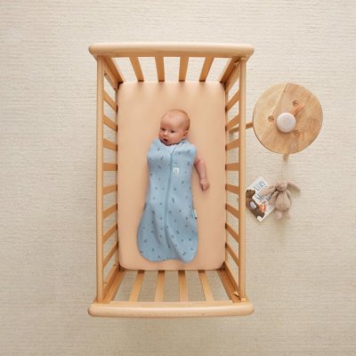 ERGOPOUCH Otulacz i śpiworek 2w1 Cocoon Dragonflies 6-12 m, 8-10 kg, 0,2 tog