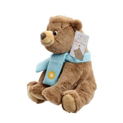 Rainbow Wir gehen auf Bärenjagd Teddybär