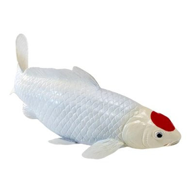 Mojo Kapor koi tancho