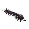 Mojo Mini monde Insectes et araignées 12 pcs