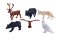 Mojo Mini mundo Animais da floresta conjunto de 6 peças - conjuntos variados