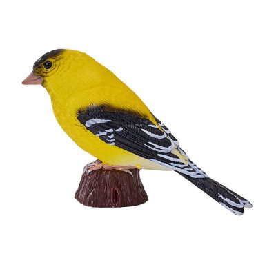 Mojo Jilguero Amarillo