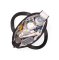 BABYONO Wickeltasche Best Time Ever schwarz