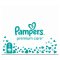 Pieluszki jednorazowe PAMPERS Premium Care rozm. 2 (224 szt.) 4-8 kg - opakowanie miesięczne
