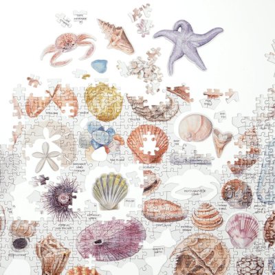 Puzzle Galison Z poradnika plażowego leniwca 1000 elementów