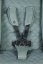 EASYWALKER Αθλητικό καρότσι Jackey XL Shadow Black + PETITE&MARS τσάντα Jibot ΔΩΡΕΑΝ