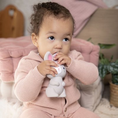 INGENUITY Sylvi™ rubber bunny teether 0m+