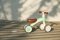 QPLAY Bicicleta sin pedales Cutey Green, edad 1-3 años