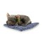 Rappa Plyschhund fransk bulldog liggande 23 cm ECO-FRIENDLY