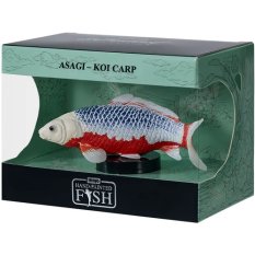 Mojo Karp koi asagi w pudełku