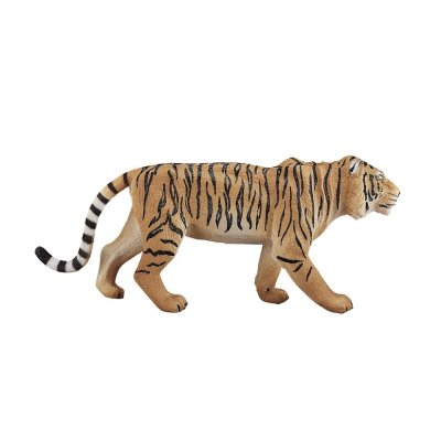 Mojo Tygrys bengalski