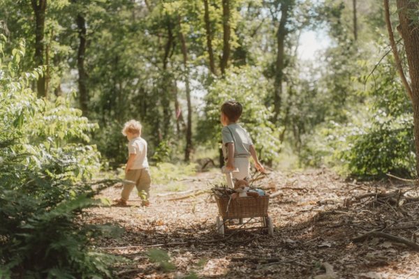 LITTLE DUTCH Hračka plyšová líška Forest friends