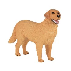 Mojo Golden Retriever