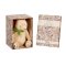 Rainbow Plush Winnie the Pooh with Green Bow 25 cm