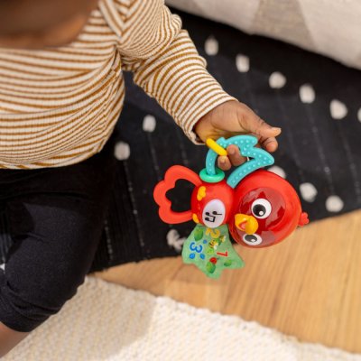 BABY EINSTEIN Musikalisches sensorisches Spielzeug Roxy's Bright Flight™ 3m+