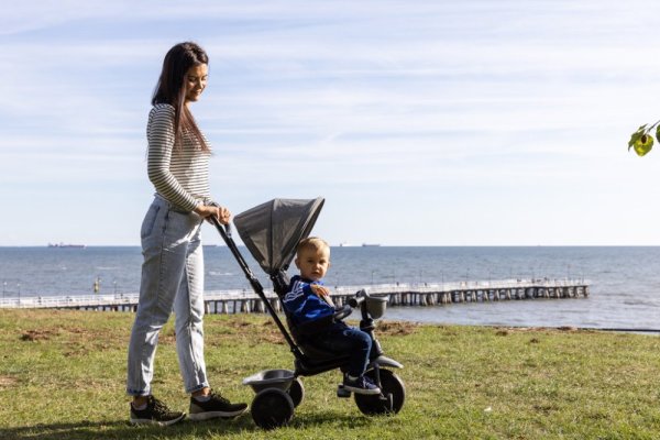 Rowerek trójkołowy QPLAY Cosy Grey, wiek 10-72 miesięcy